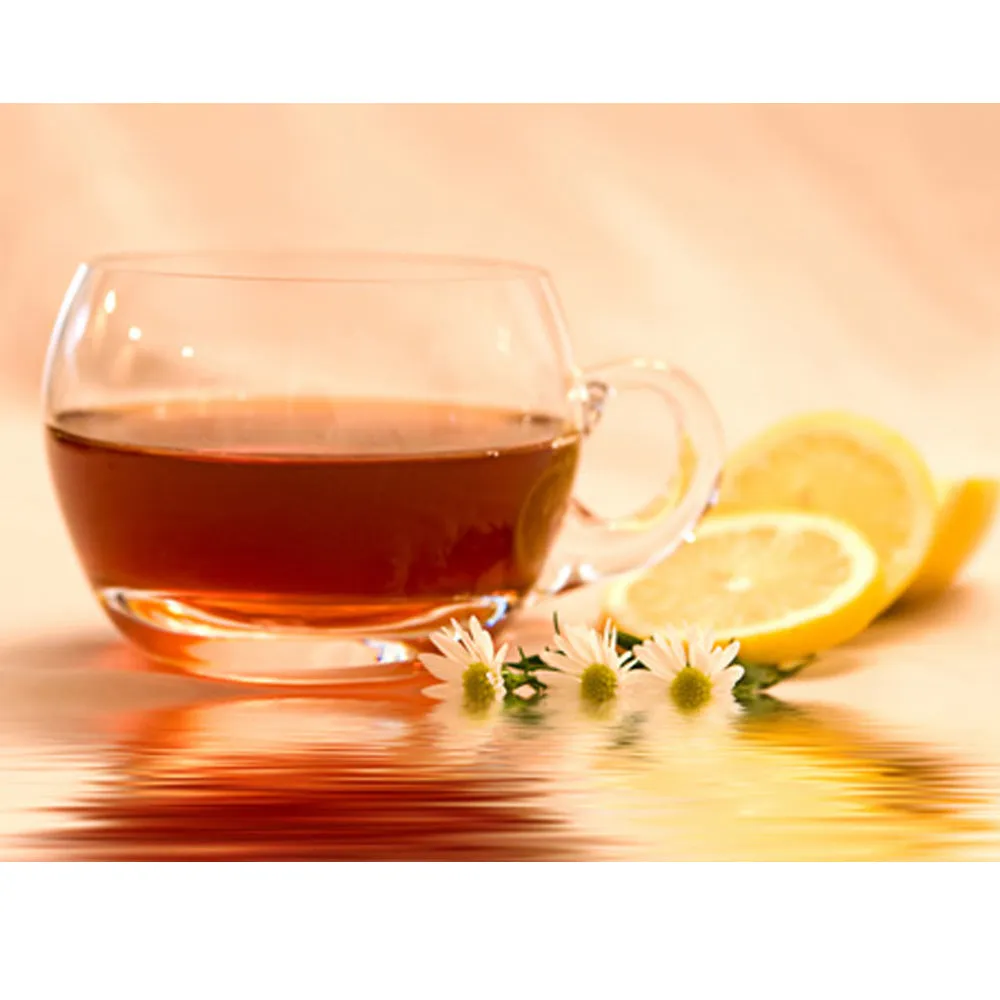 72 Set Tea Bags Sampler 100% Premium Flavor Herbal Chamomile Peppermint Cinnamon