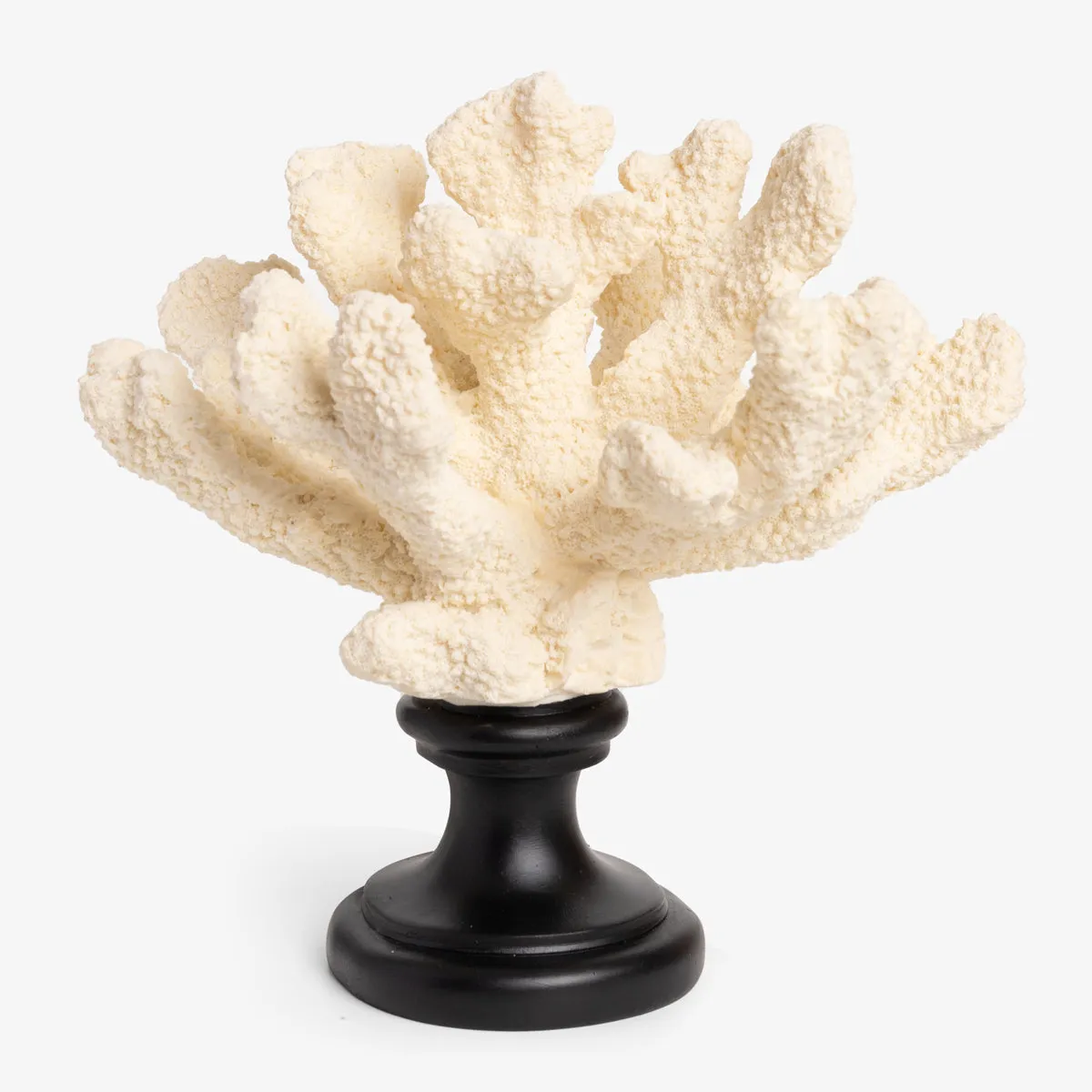 Coral On Pedestal Base