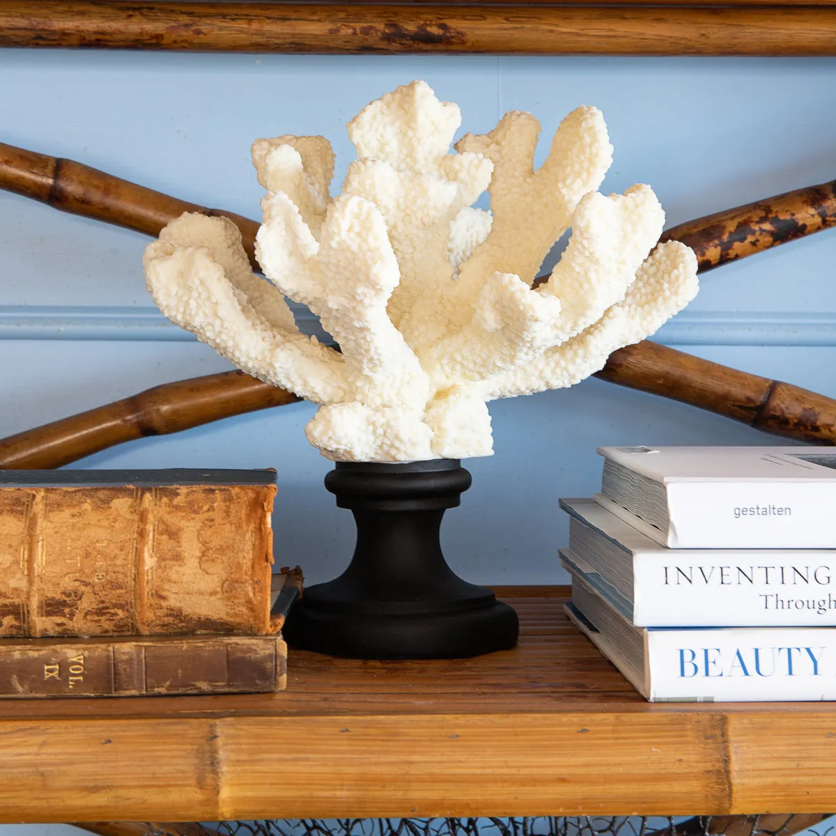 Coral On Pedestal Base