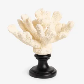 Coral On Pedestal Base