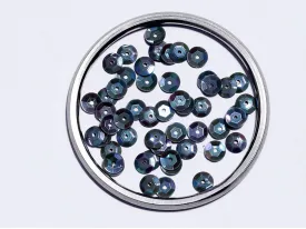 Gray Rainbow Centre Hole Flat Circular Plastic Sequins- 8 mm